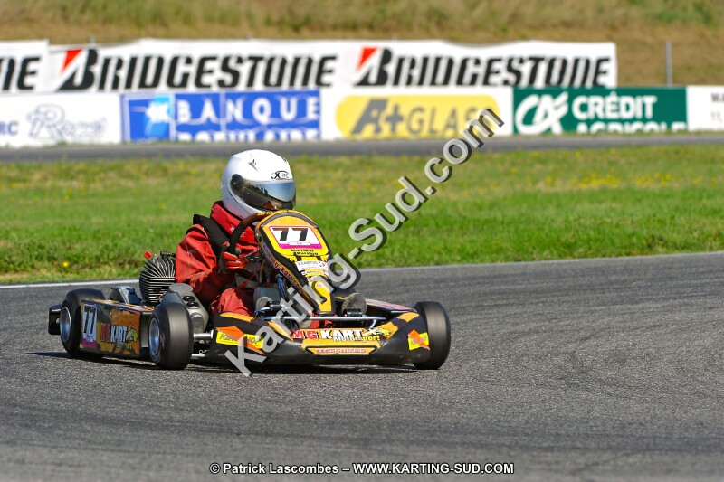 DSC_ (1141).jpg